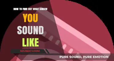 Discover Your Vocal Twin: Tips to Identify Your Singer Sound-Alike