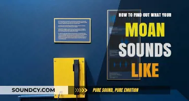 Discover Your Unique Moan: A Guide to Recording and Listening