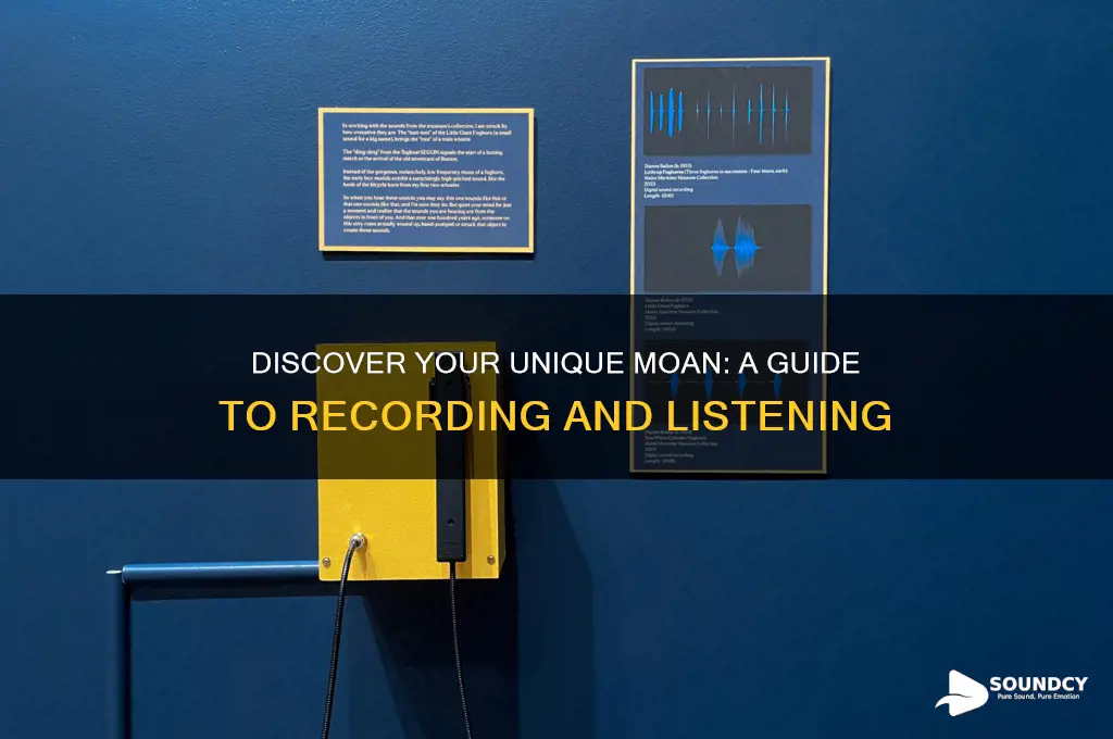 how to find out what your moan sounds like