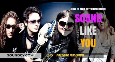 Discover Your Musical Twins: How to Find Bands That Sound Like You