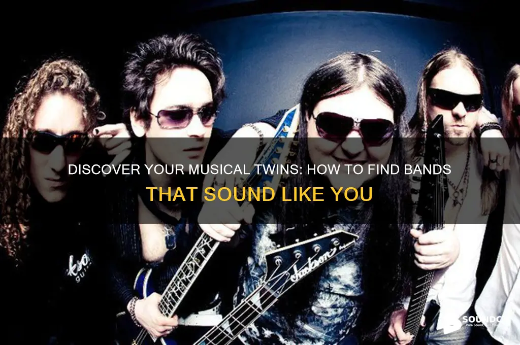 how to find out which bands sound like you