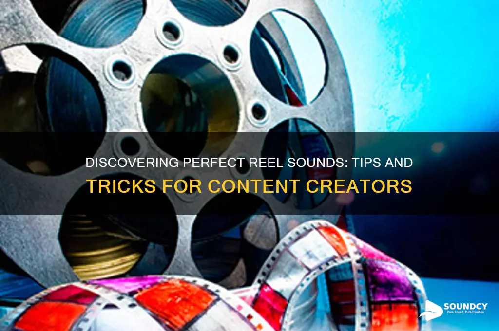 how to find reel sounds