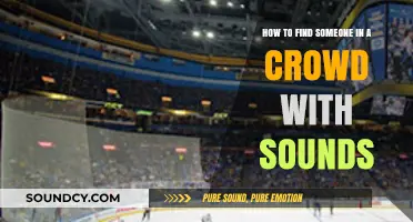 Locate Anyone in a Crowd Using Sound Strategies and Techniques