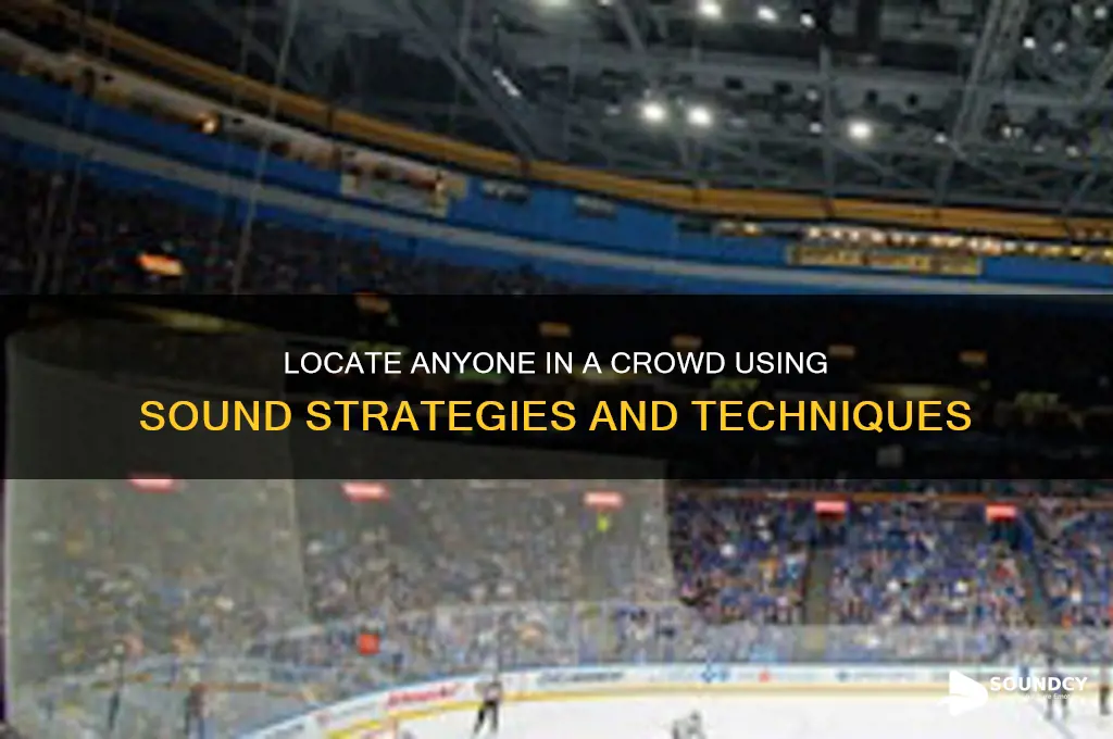 how to find someone in a crowd with sounds