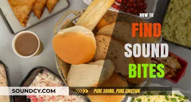 Mastering the Art of Finding Perfect Sound Bites for Impactful Content