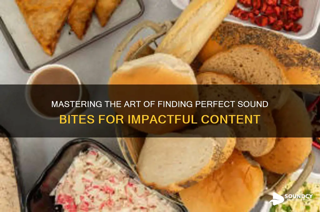 how to find sound bites