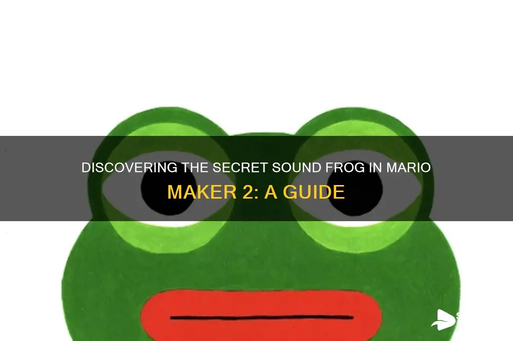 how to find sound frog in mario maker 2