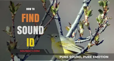 Discovering Your Sound ID: A Step-by-Step Guide to Finding It
