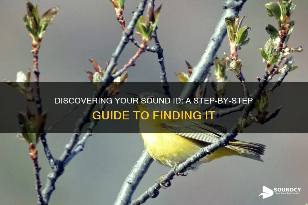 how to find sound id