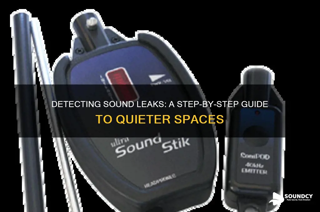 how to find sound leaks