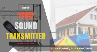 Effective Techniques to Locate a Sound Transmitter Easily and Efficiently