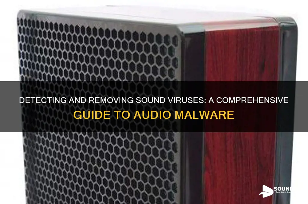 how to find sound virus