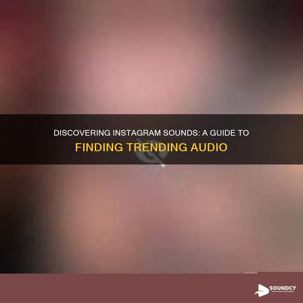 how to find sounds on ig