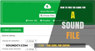 Finding the Perfect Name for Your Sound File: A Step-by-Step Guide