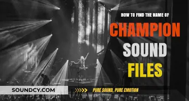 Discovering Champion Sound Files: A Step-by-Step Naming Guide