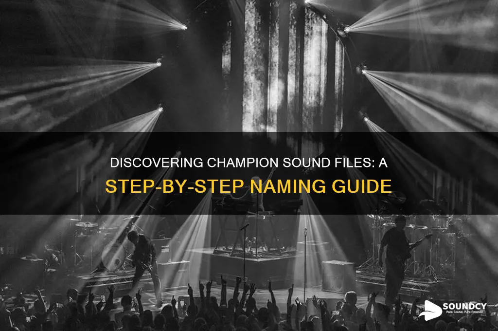 how to find the name of champion sound files