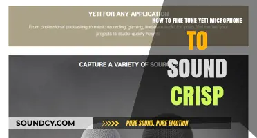 Master Crisp Audio: Fine-Tuning Your Yeti Microphone for Professional Sound