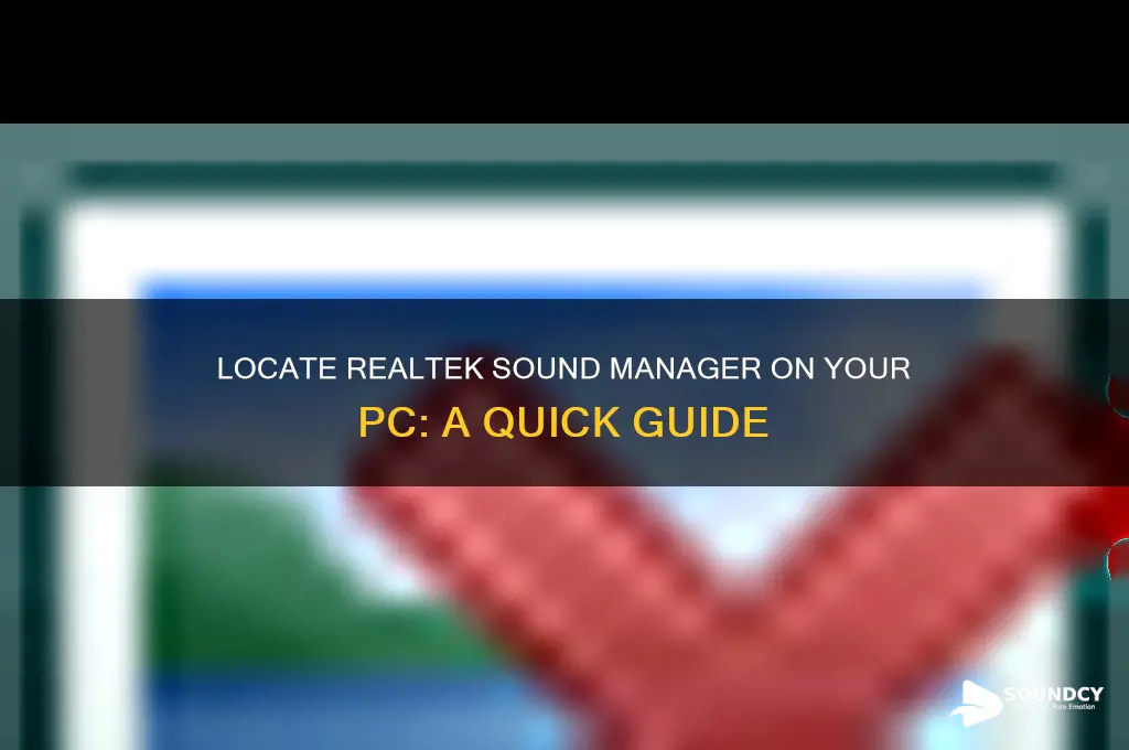 how to finf realtech sound mgr on your computer