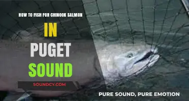 Mastering Puget Sound: Techniques for Catching Chinook Salmon Successfully