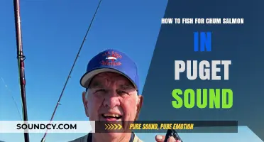 Mastering Chum Salmon Fishing in Puget Sound: Tips and Techniques
