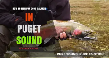 Mastering Coho Salmon Fishing Techniques in Puget Sound's Waters