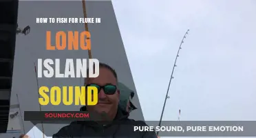 Mastering Fluke Fishing in Long Island Sound: Tips and Techniques