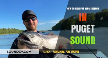 Mastering Puget Sound: King Salmon Fishing Techniques and Tips
