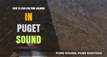 Mastering Pink Salmon Fishing in Puget Sound: Tips and Techniques