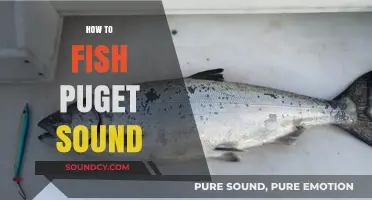 Mastering Puget Sound Fishing: Essential Tips for a Successful Catch