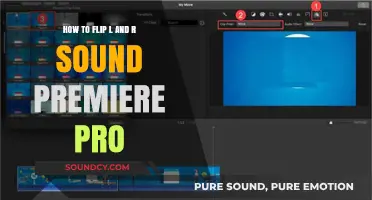 Mastering Audio Editing: Flipping L and R Sounds in Premiere Pro