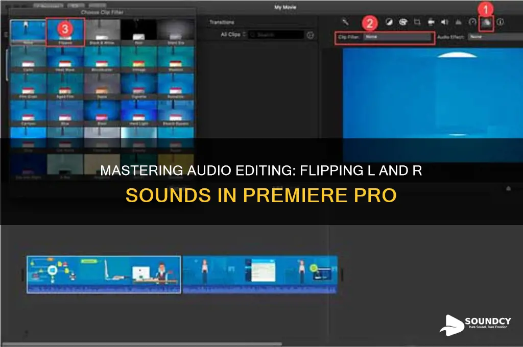 how to flip l and r sound premiere pro