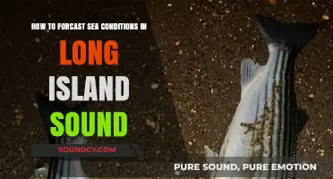 Mastering Sea Condition Forecasting in Long Island Sound: A Guide