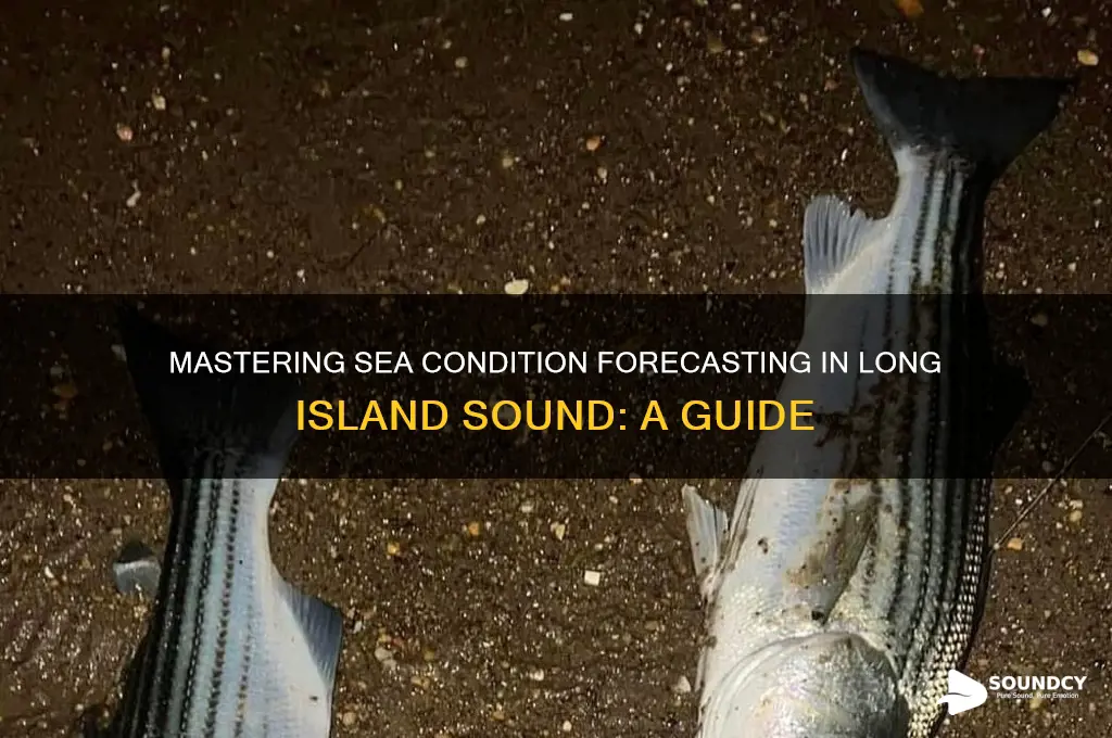 how to forcast sea conditions in long island sound