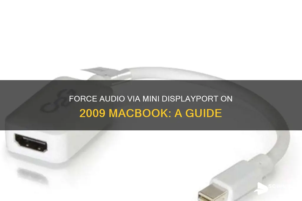 how to force sound through mini displayport 2009 macbook