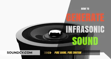 Mastering Infrasonic Sound Generation: Techniques and Tools for Low-Frequency Creation