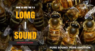 Mastering the Long 'I' Sound: Tips for Pronouncing 'Y' Clearly