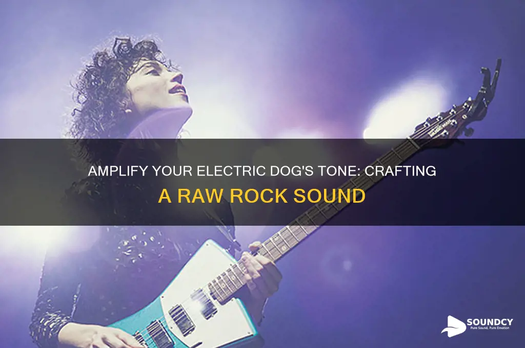 how to give your electric dog a rock sound