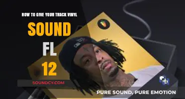 Achieve Warm Vinyl Sound in Your FL Studio 12 Tracks