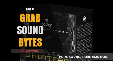 Mastering the Art of Capturing Perfect Sound Bites: Tips and Tricks