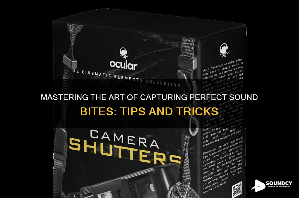 how to grab sound bytes