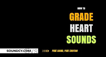 Mastering Heart Sound Grading: A Step-by-Step Guide for Clinicians