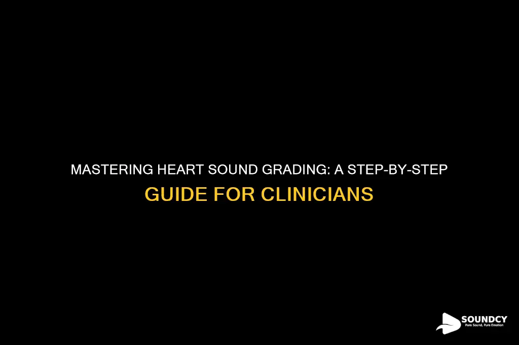 how to grade heart sounds