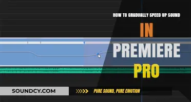 Mastering Premiere Pro: Gradually Speeding Up Audio for Smooth Transitions
