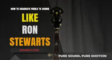 Master Ron Stewart's Fiddle Style: Techniques to Perfect Your Sound