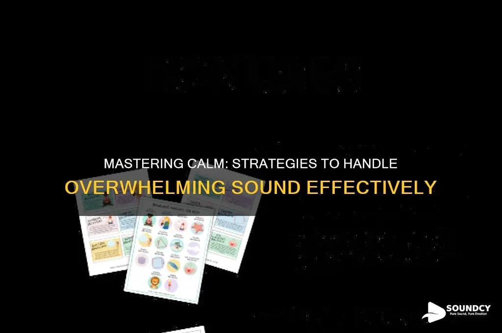 how to handle overwhelming sound