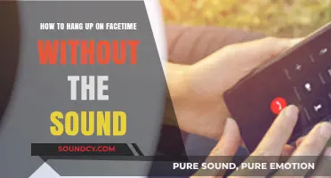 Mute and Exit: Hanging Up on FaceTime Silently and Smoothly
