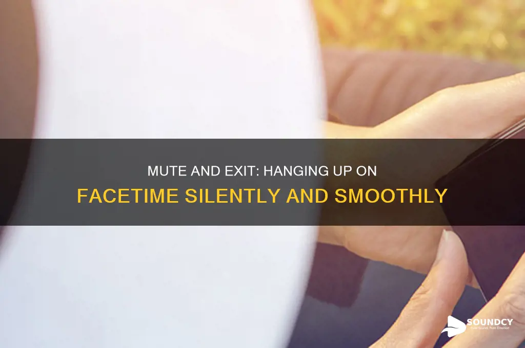 how to hang up on facetime without the sound