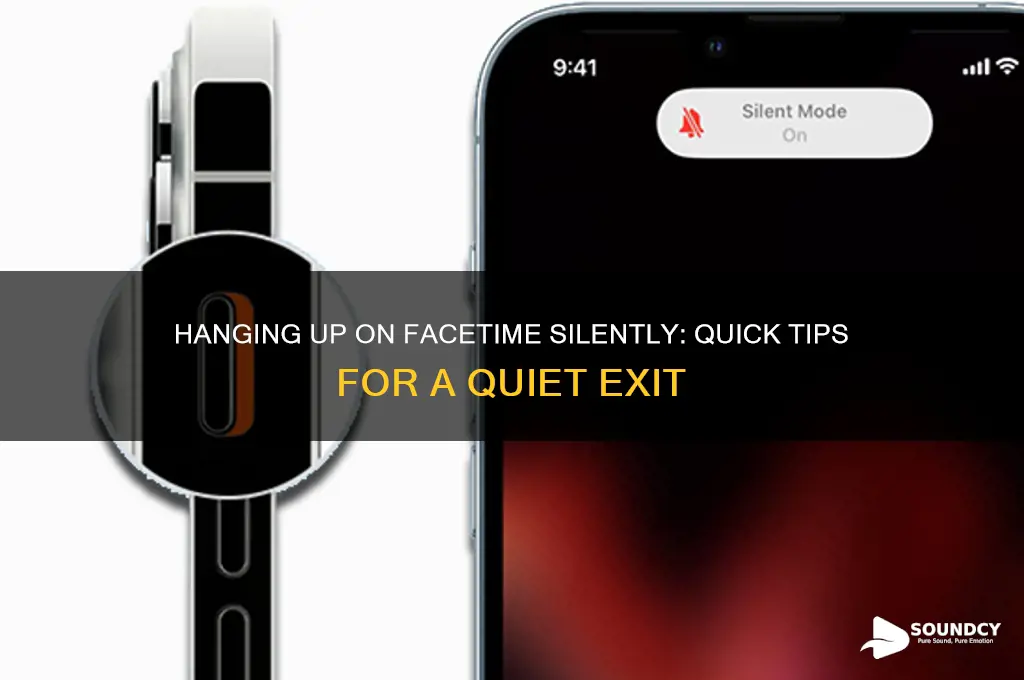 how to hang up on ft without the sound