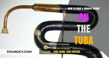Mastering the Art of a Bold, Brassy Tuba Sound: Essential Tips