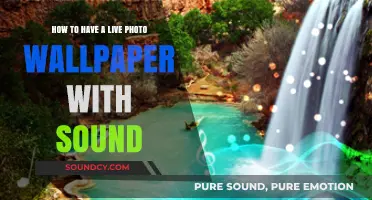 Create Dynamic Live Photo Wallpapers with Sound: A Step-by-Step Guide